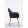 Silla de Comedor Cassidy Negro,Natural