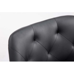 Silla de Comedor Cassidy Negro,Natural