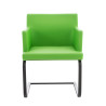 Silla Cantiléver Aberford en Cuero PU Verde,Negro