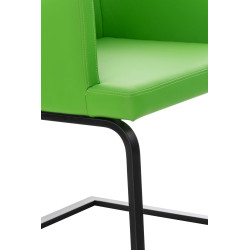 Silla Cantiléver Aberford en Cuero PU Verde,Negro