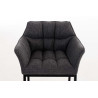 Sillón De Salón Octavia En Tela Gris titanio,Negro