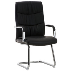 2er Set Stühle Caro