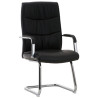 2er Set Stühle Caro
