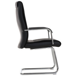 2er Set Stühle Caro