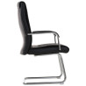2er Set Stühle Caro