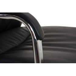 2er Set Stühle Caro