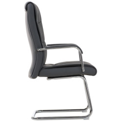 2er Set Stühle Caro