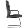 2er Set Stühle Caro