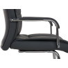 2er Set Stühle Caro