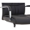 2er Set Stühle Caro