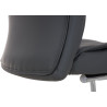 2er Set Stühle Caro