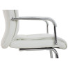 2er Set Stühle Caro
