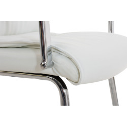 2er Set Stühle Caro