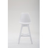 Taburete Cannes Estructura de Polipropileno Blanco,Blanco
